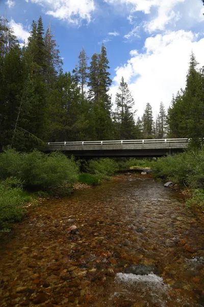 DSC_4388 (Large).JPG